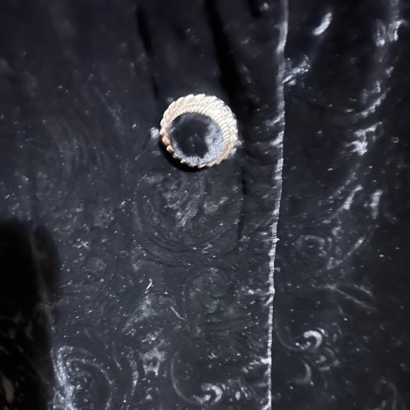 Beautifiul Crushed Velvet Jacket - Picture 3 of 6